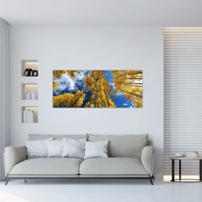 Obraz - Aspen (120x50 cm)