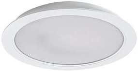 Rabalux SHAUN2 LED podhľadové svietidlo 71233