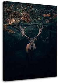 Obraz na plátně Jelen Les Příroda Zvířata - 40x60 cm