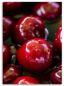 Obraz na plátně Třešně Ovoce Červená - 60x90 cm