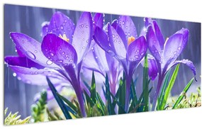 Obraz kvetov v daždi (120x50 cm)