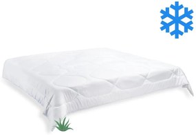 Brotex Prikrývka Aloe Vera zimná 240x220cm 2370 g