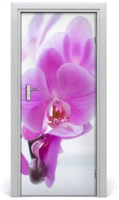 Fototapeta na dvere ružová orchidea 75x205 cm