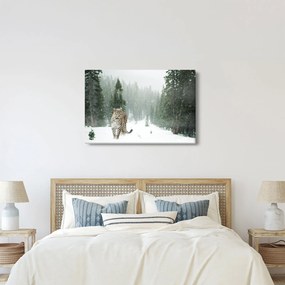 Obraz leoparda v snehu (90x60 cm)