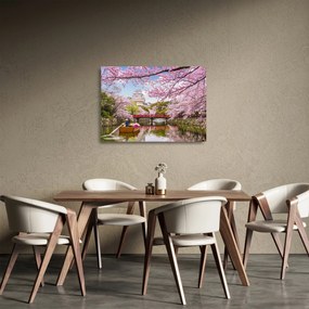 Sklenený obraz japonskej čerešne (70x50 cm)