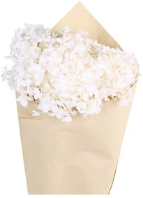 Dekorácia sušená kvetina hortenzie Hydrangea Flower - 60 cm