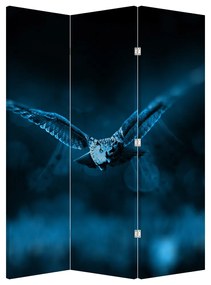 Paraván - Lietajúca sova (126x170 cm)