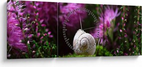 Obraz - Slimáková ulita (s hodinami) (90x30 cm)