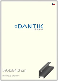 DANTIK rám na obraz 59,4x84 | ALU Černá matná (Plexi Čiré)
