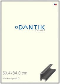 DANTIK rám na obraz 59,4x84 | ALU Černá matná (Plexi Čiré)