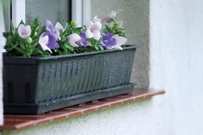 Truhlík ARGO antracit