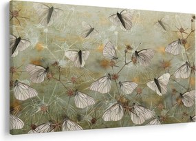 Obraz - Vintage motýle (90x60 cm)