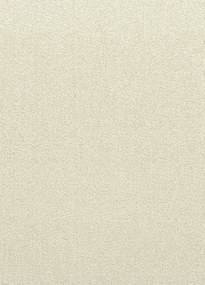 Koberce Breno Metrážny koberec AVELINO 33, šíře role 400 cm, béžová
