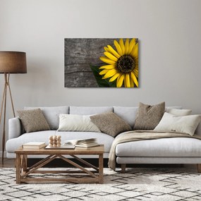 Obraz - Kvet slnečnice (90x60 cm)