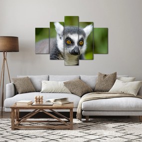Obraz lemura (150x105 cm)
