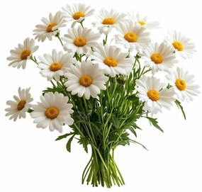 Aromatický vankúš Chamomile 50x70 cm EMI