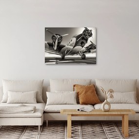 Obraz - Historické lietadlo (70x50 cm)