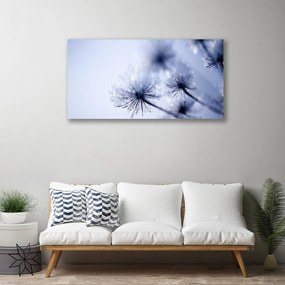 Obraz Canvas Púpava rastlina 140x70 cm