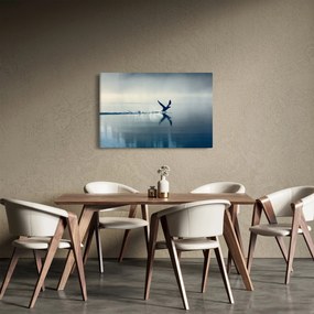 Obraz - Potáplica (90x60 cm)