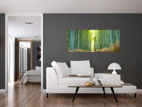 Obraz - Bambusový les (120x50 cm)