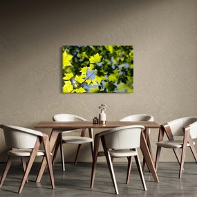 Obraz - javorové listy (90x60 cm)