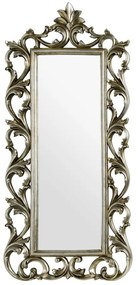 Nástenné zrkadlo 57x126 cm Champagne – Premier Housewares