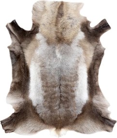 Koberec RENIFER POK009 hnedý / sivý