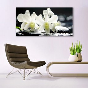 Obraz plexi Kamene kvety orchidea 120x60 cm