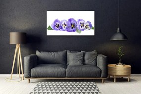 Obraz plexi Plátky kvet sirôtky 100x50 cm