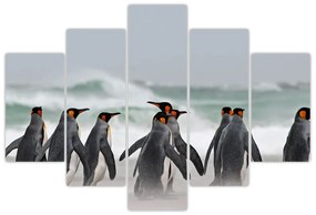 Obraz tučniakov pri oceáne (150x105 cm)