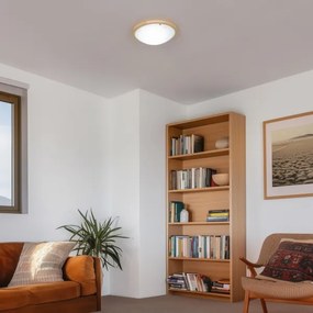 Rabalux 5421 - Stropné svietidlo UFO 2xE27/60W/230V