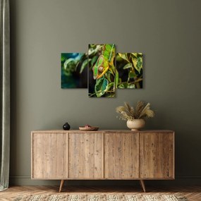 Obraz chameleóna (90x60 cm)