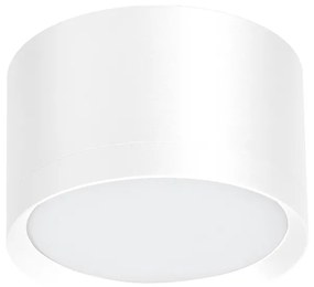 Stropné svietidlo Cyklop, 1x biele kovové tienidlo