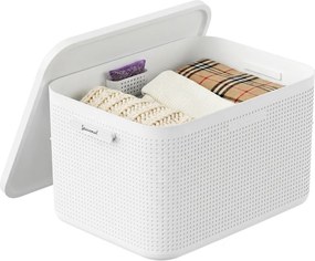 Rotho Úložný box do skrine s vekom a priehradkou na levanduľu, šatníkový organizér LISORA - L, 50 × 35,6 × 28,2 cm