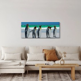 Obraz - Skupina kráľovských Tučniakov (120x50 cm)