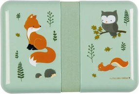 Poludňajší box: lesní priatelia