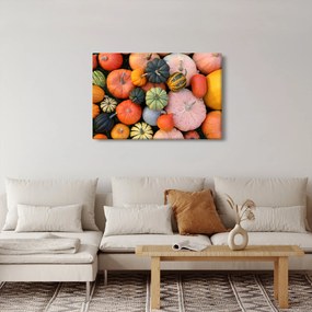 Obraz - Tekvica (90x60 cm)