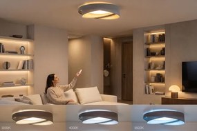 Stmievateľné LED stropné svietidlo SM. GALAXY M. LED/24W/230V pr. 55 cm sivá/strieborná + diaľkové ovládanie