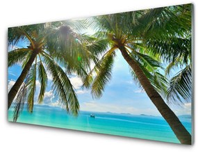 Skleneny obraz Palma strom more krajina 125x50 cm