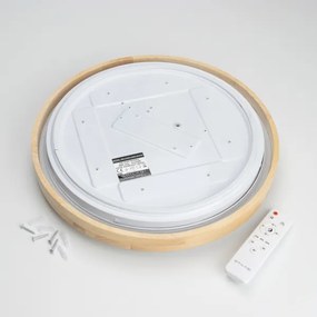 Brilagi - LED stlmiteľné stropné svietidlo PINE LED/24W/230V + diaľkové ovládanie