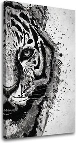 Obraz na plátne TIGER 001