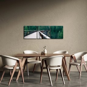 Obraz - Most k vrcholkom stromov (s hodinami) (90x30 cm)