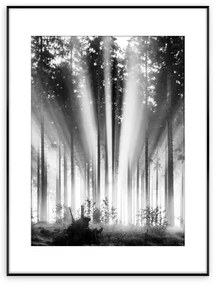 Obraz FOG AND SUN ARTBOX DIGI 50x70 cm