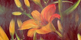 Obraz rozkvet oranžovej ľalie Varianta: 100x50