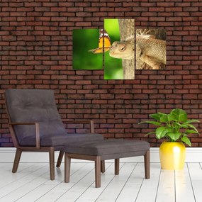 Obraz - Jašter (90x60 cm)