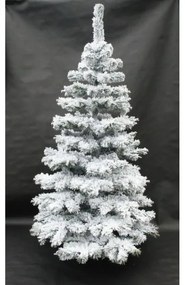Jedlička Eliza 220 cm