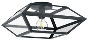 Stropné svietidlo EGLO E27 CASEFABRE Black 98357