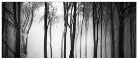Obraz - Vlk v temnom lese (120x50 cm)