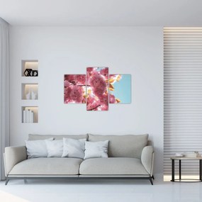 Obraz - Čerešňový kvet (90x60 cm)