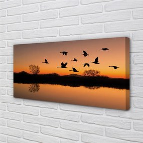 Obraz na plátne Lietajúce vtáky sunset 120x60 cm
